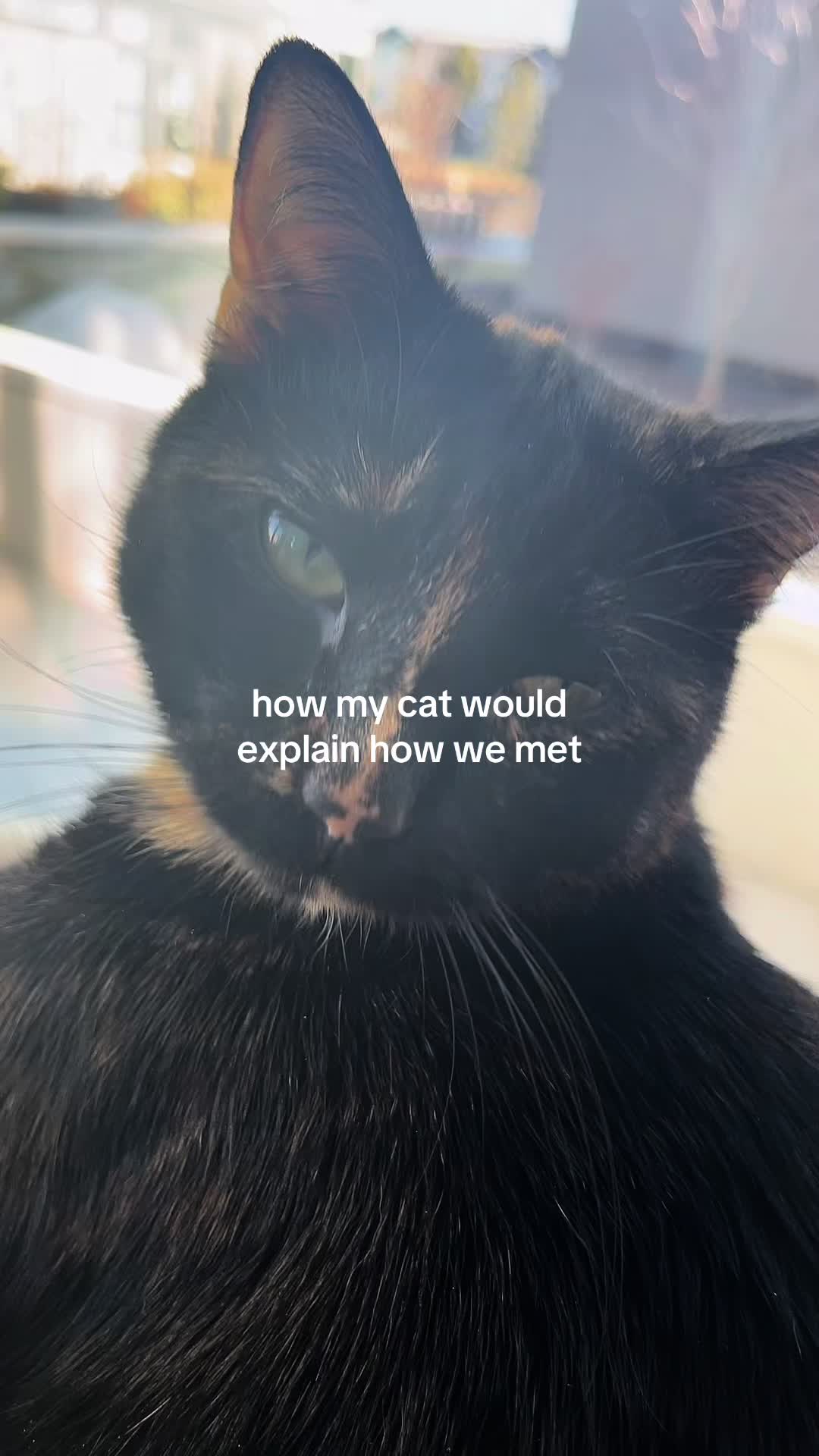 @🎶 𝓡𝓪𝓿𝓮𝓷🥀