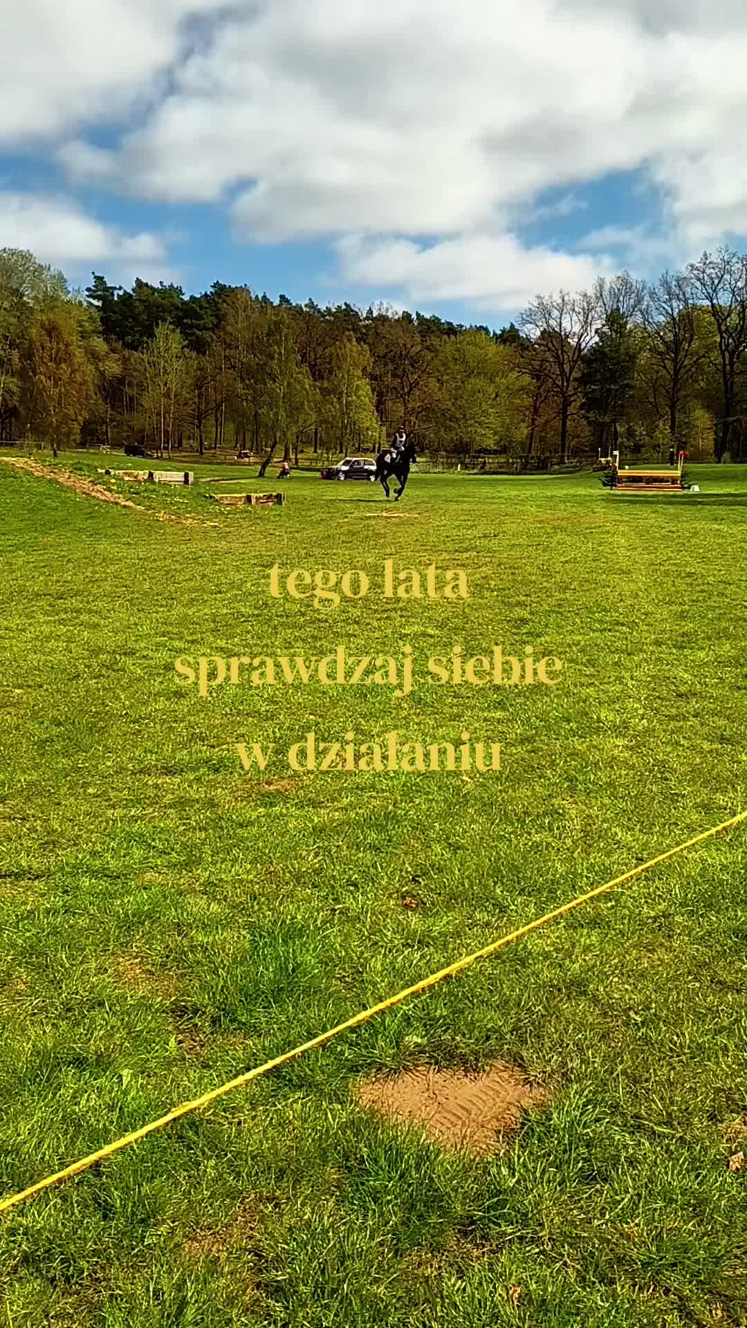 @ukryty porządek 🇵🇸