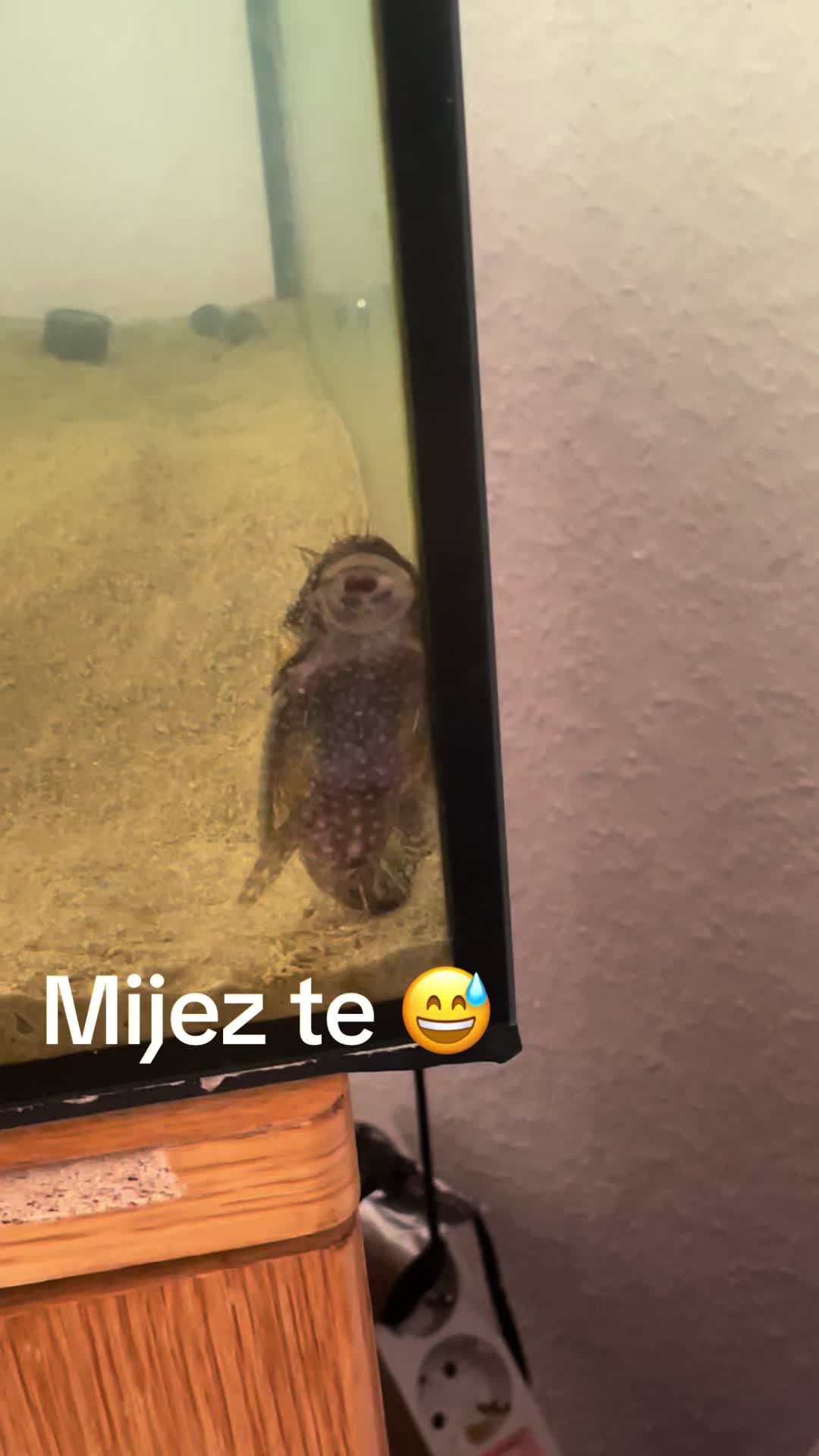 @🖤NORBI😈HULIGÁN🥷