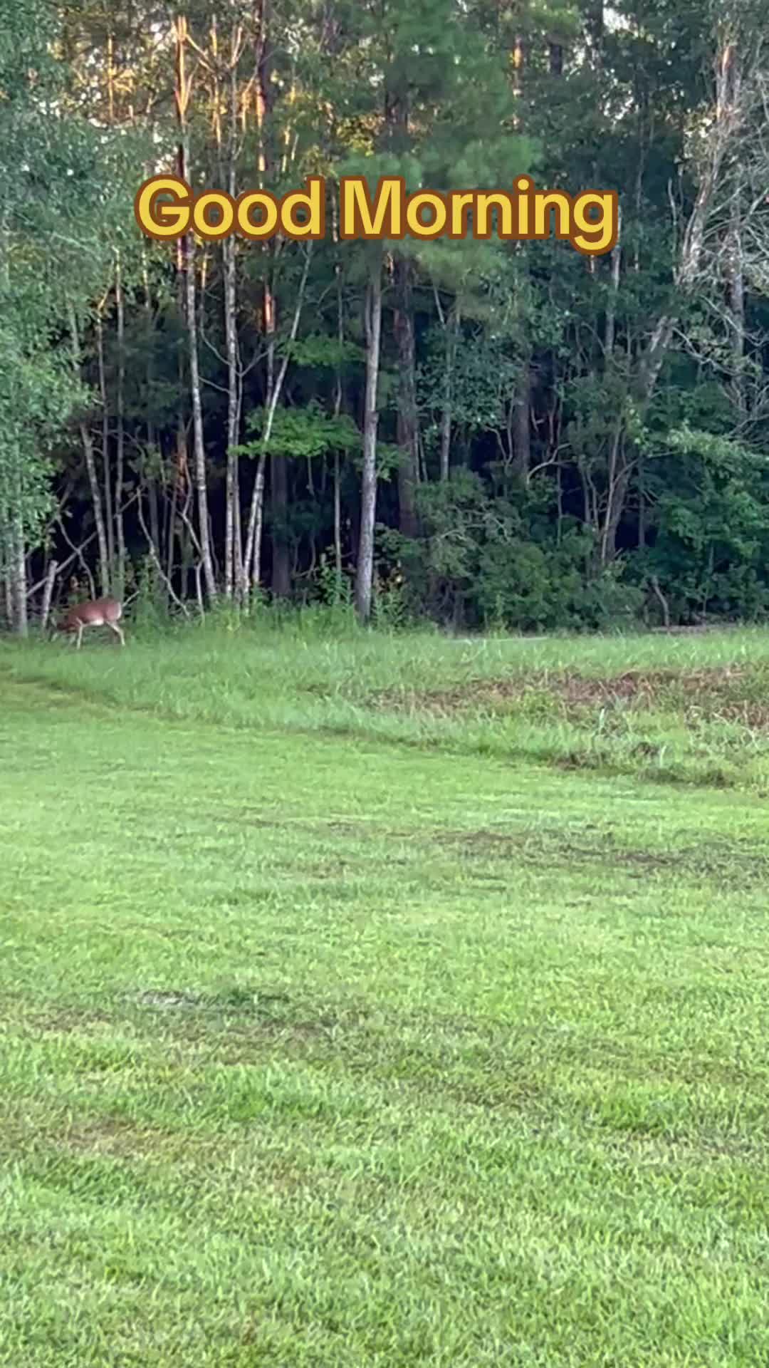 @devotedsportsmen23