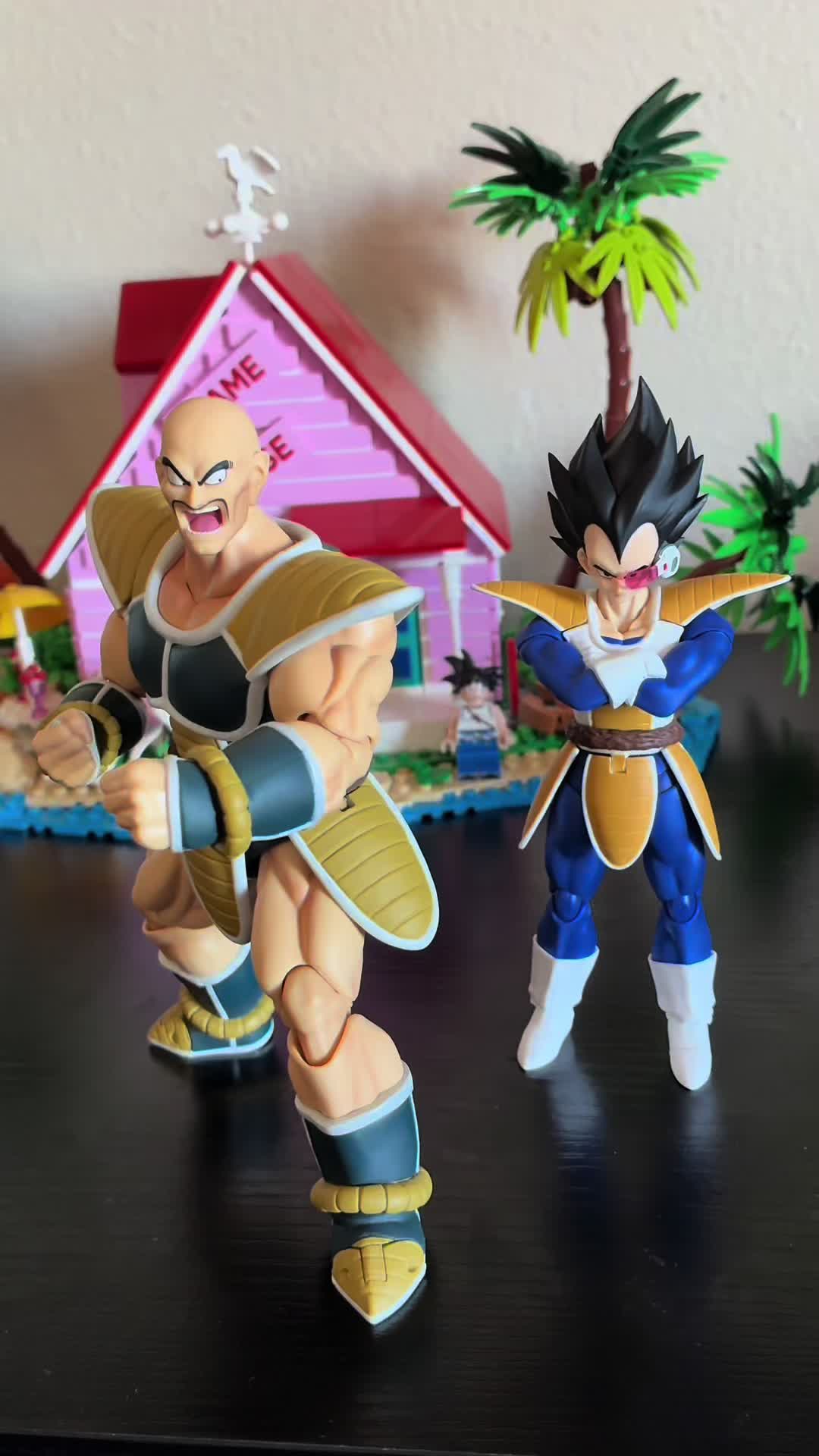 @Kame Sennin