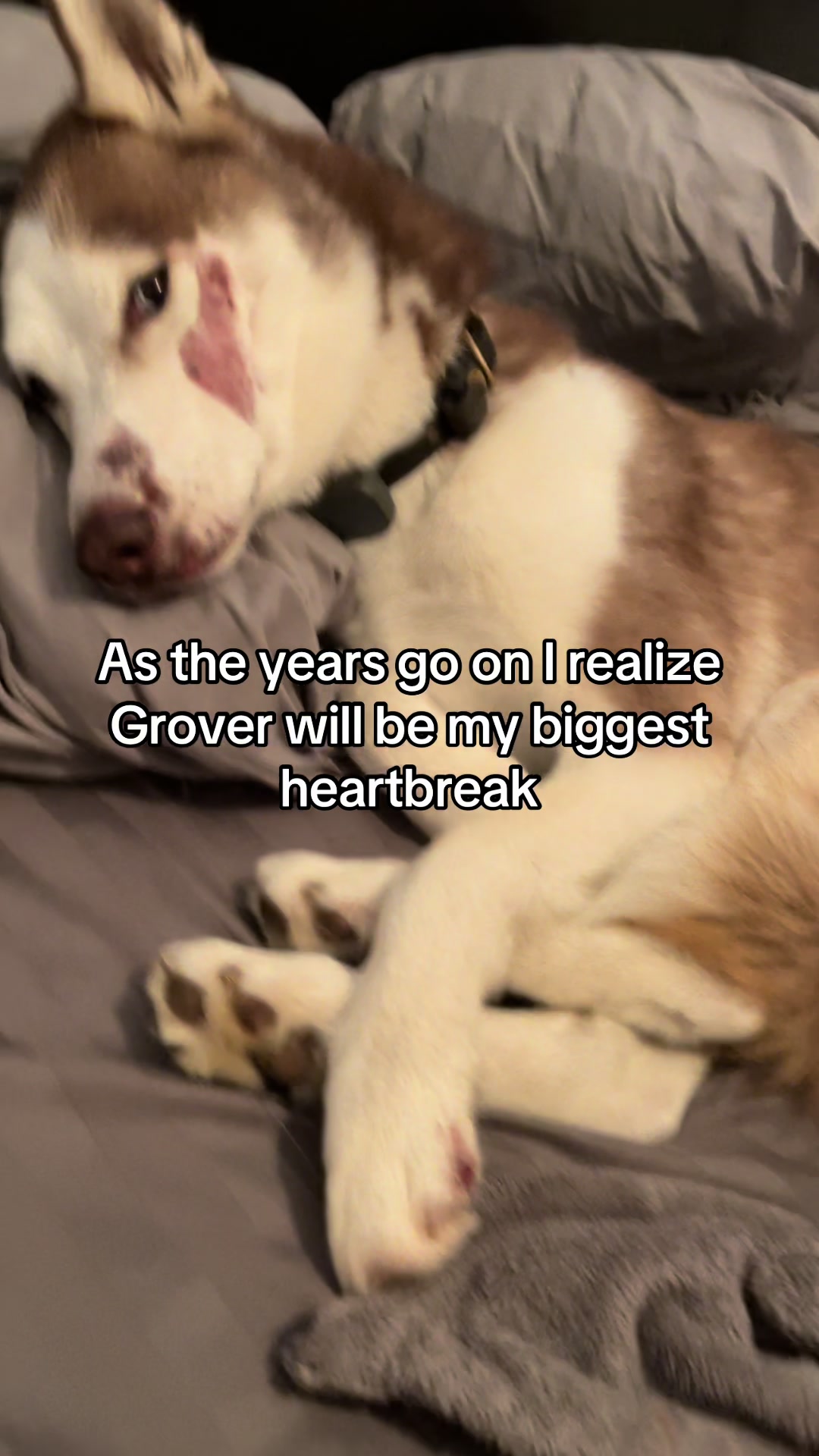 @Grover