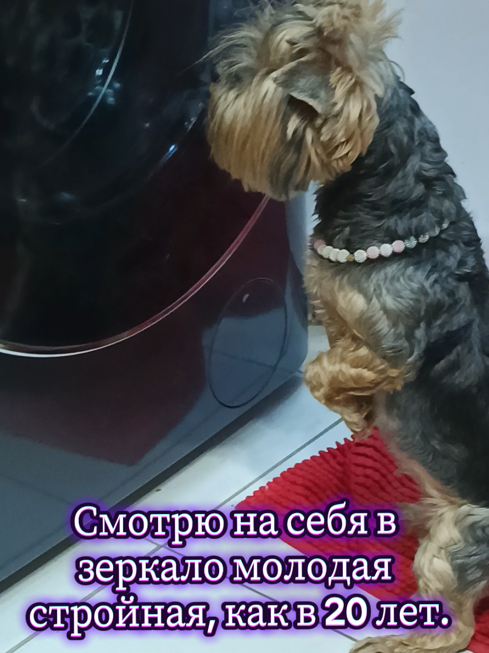 @Соня и Бетти ❤️