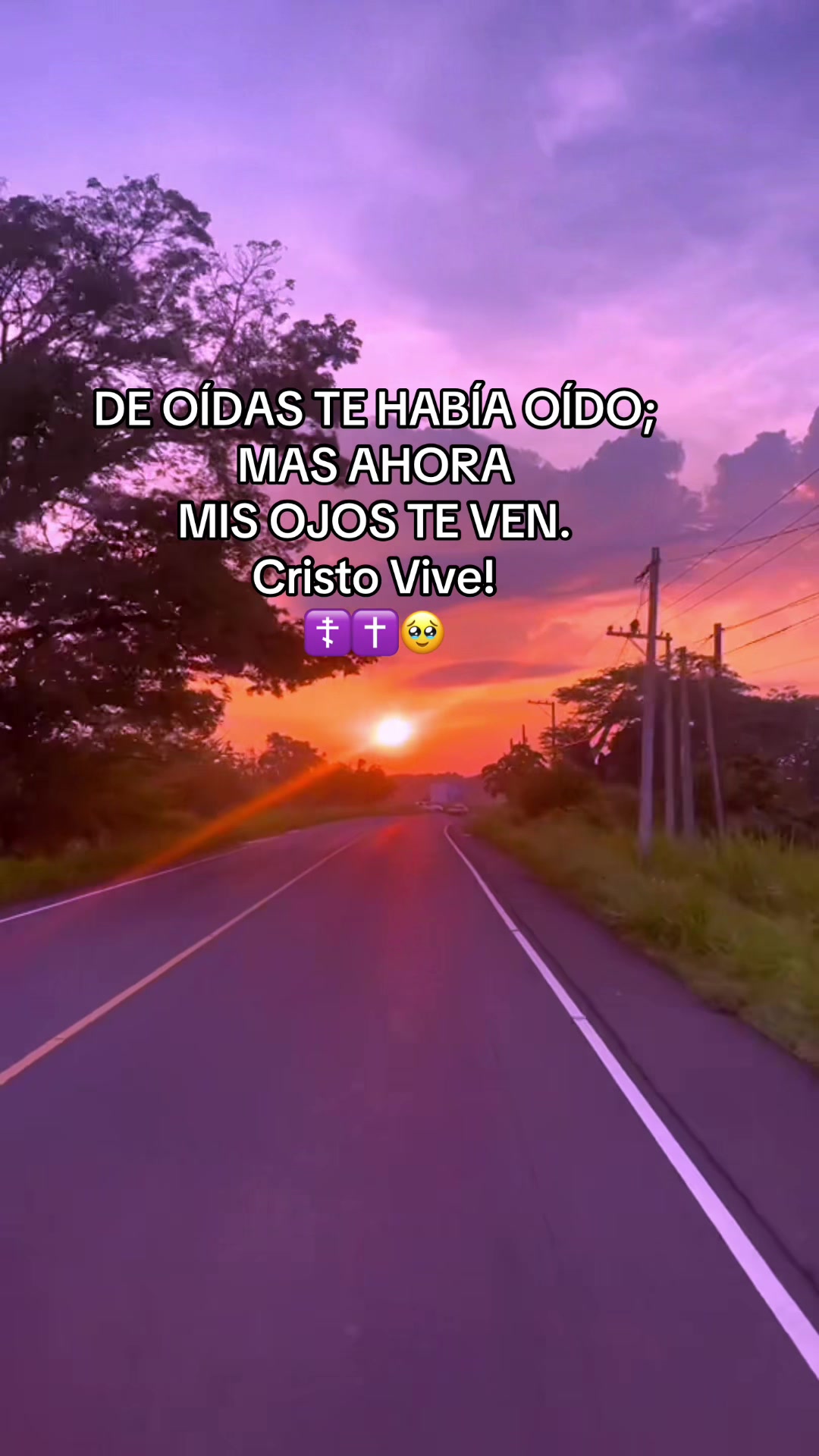 @Perla Mangandi