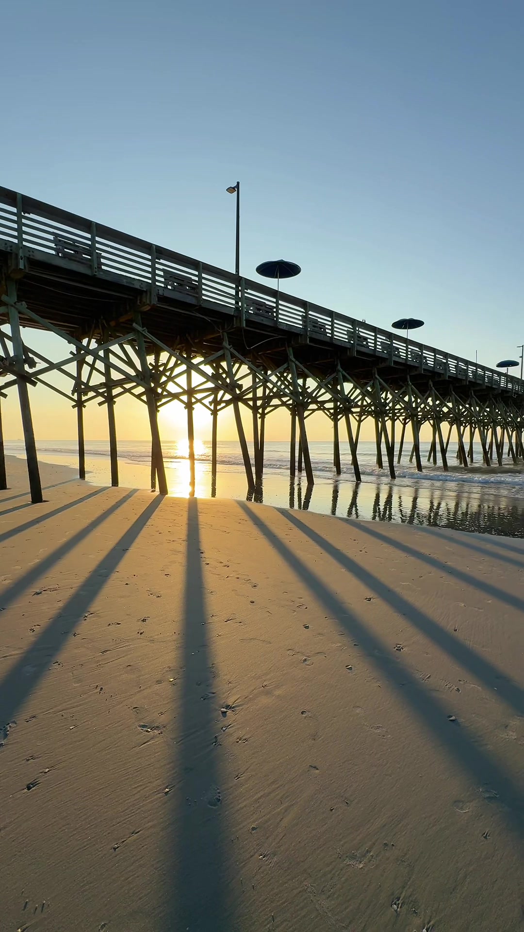 @Nedock Photos