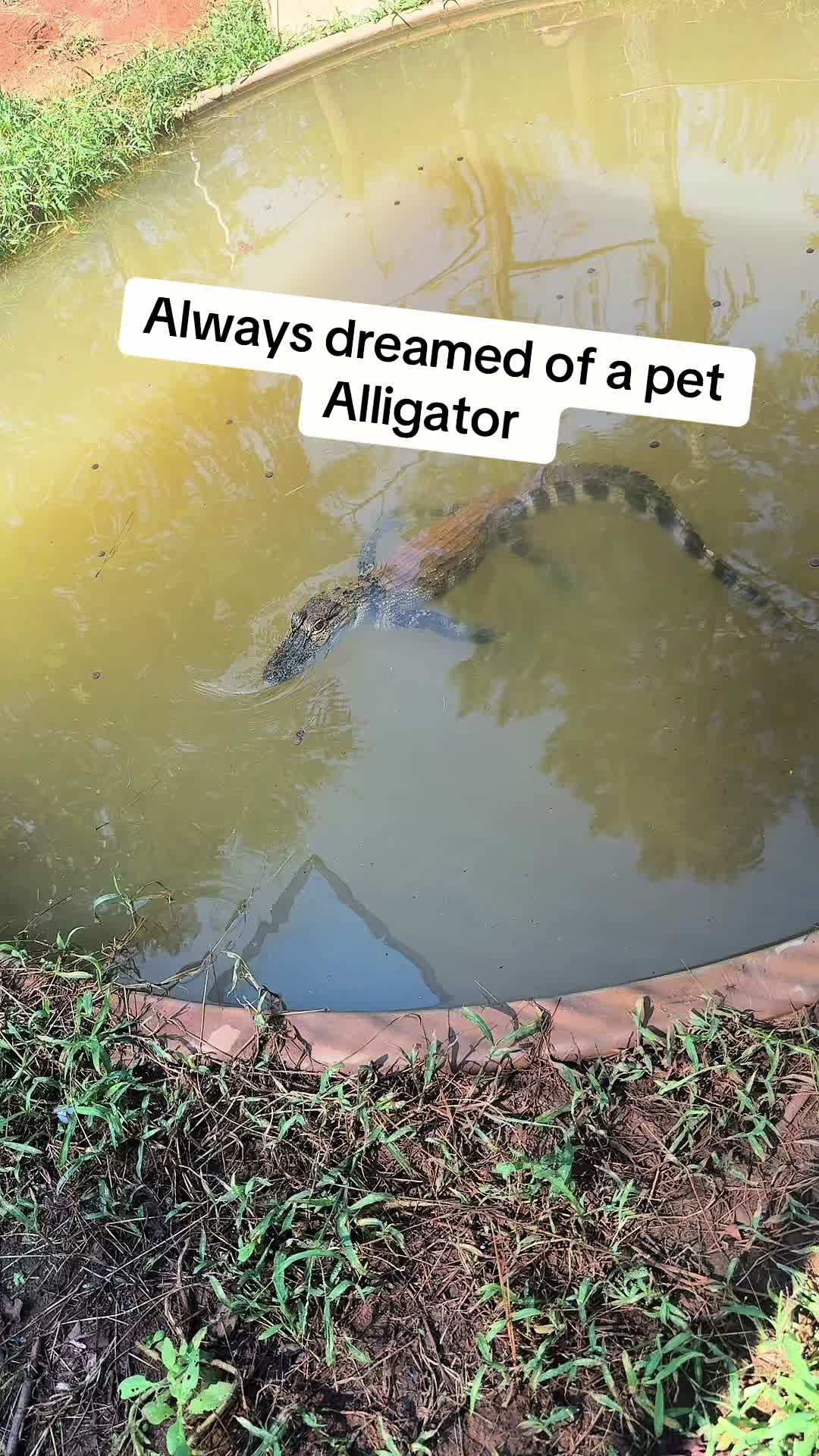@RastaKountryDream