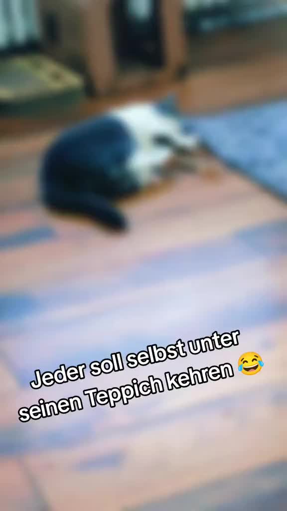 @𝐒𝔸𝓜тᑭᶠ&ouml;тᑕｈⒺή