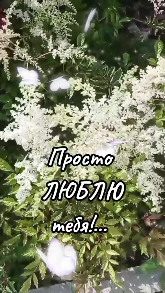 @Марина 🌹