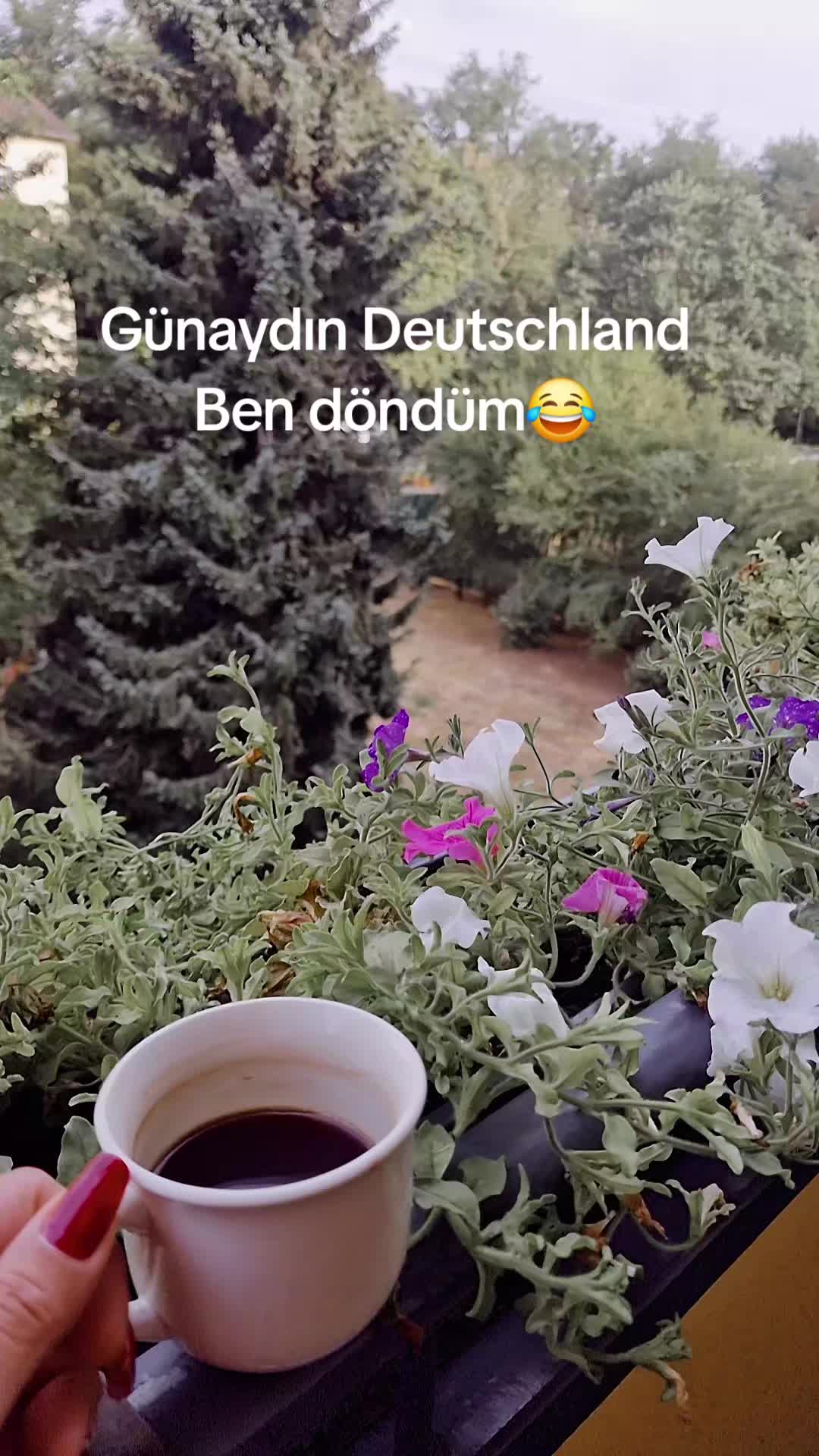 @Sevinç ceyda
