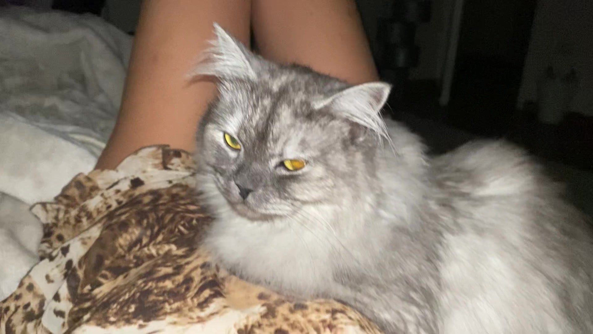 @Kat