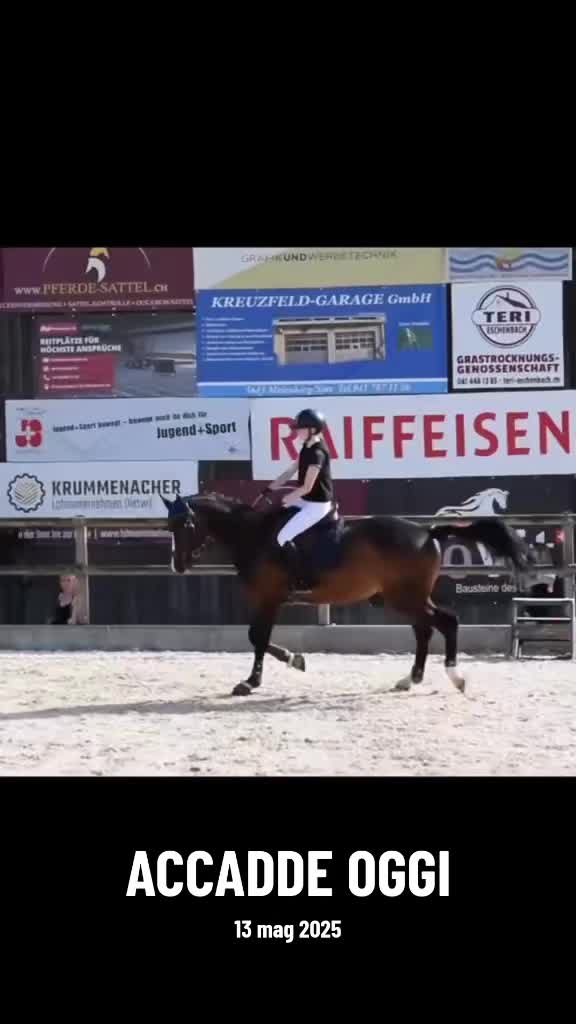 @Desy🐴
