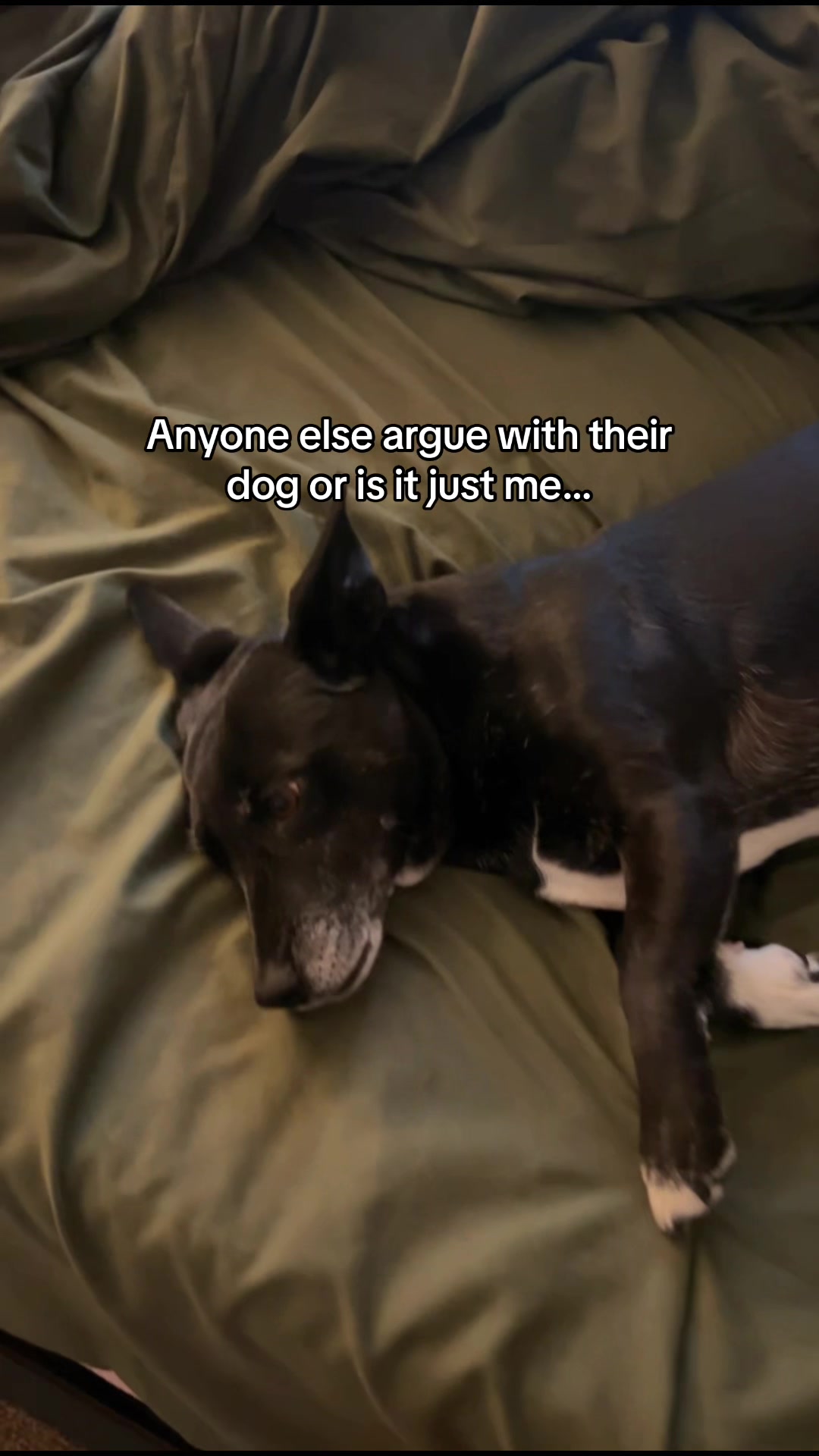 @Candice + Willow ♥️🐾