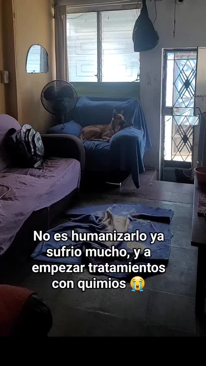 @𝕃𝕚𝕤𝕤 ℝ𝕖yes🇸🇻