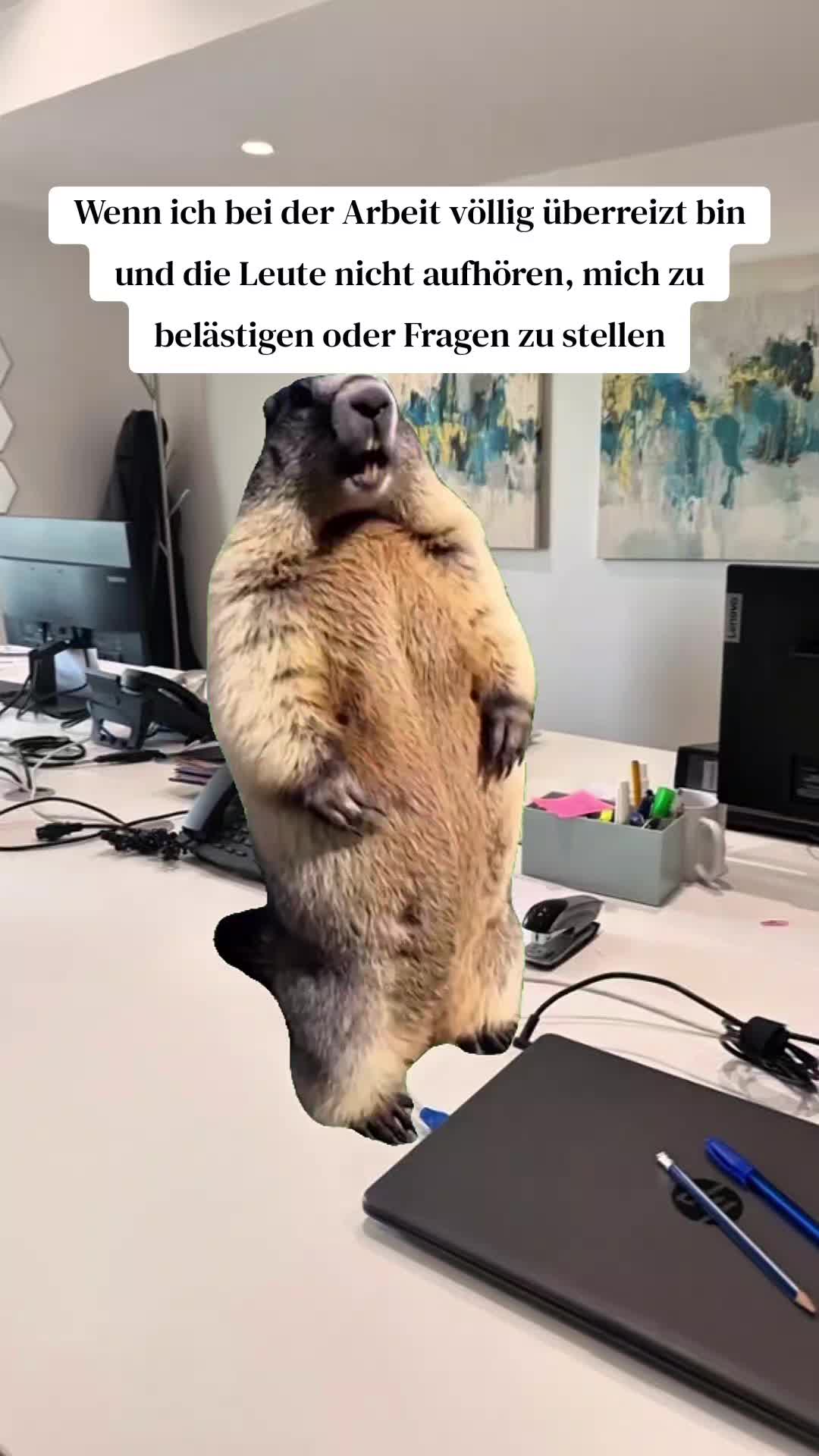 @Meme_Zentrale_