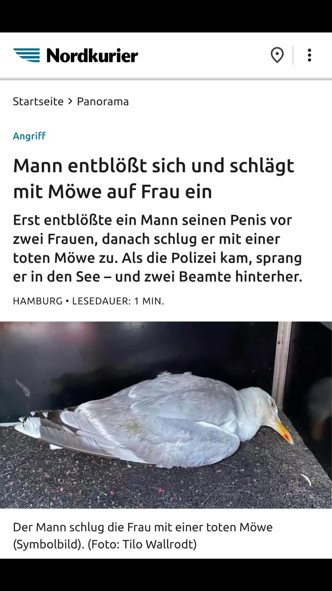 @Bjoern der schreckliche 😈