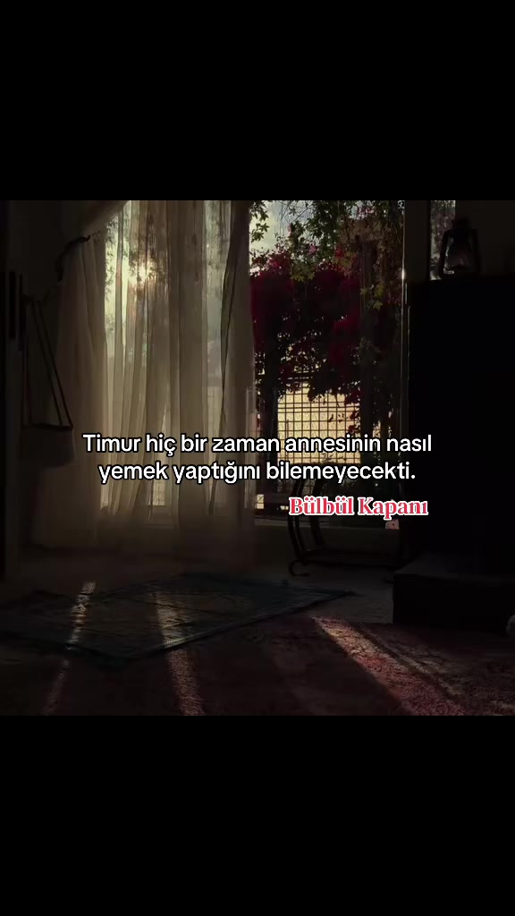 @ᴇʟᴢᴇᴍ ᴀᴋᴀʏ™᭕.꙳