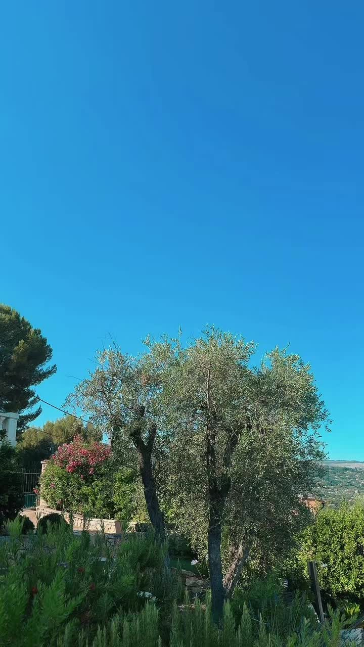 @Farahtagmi