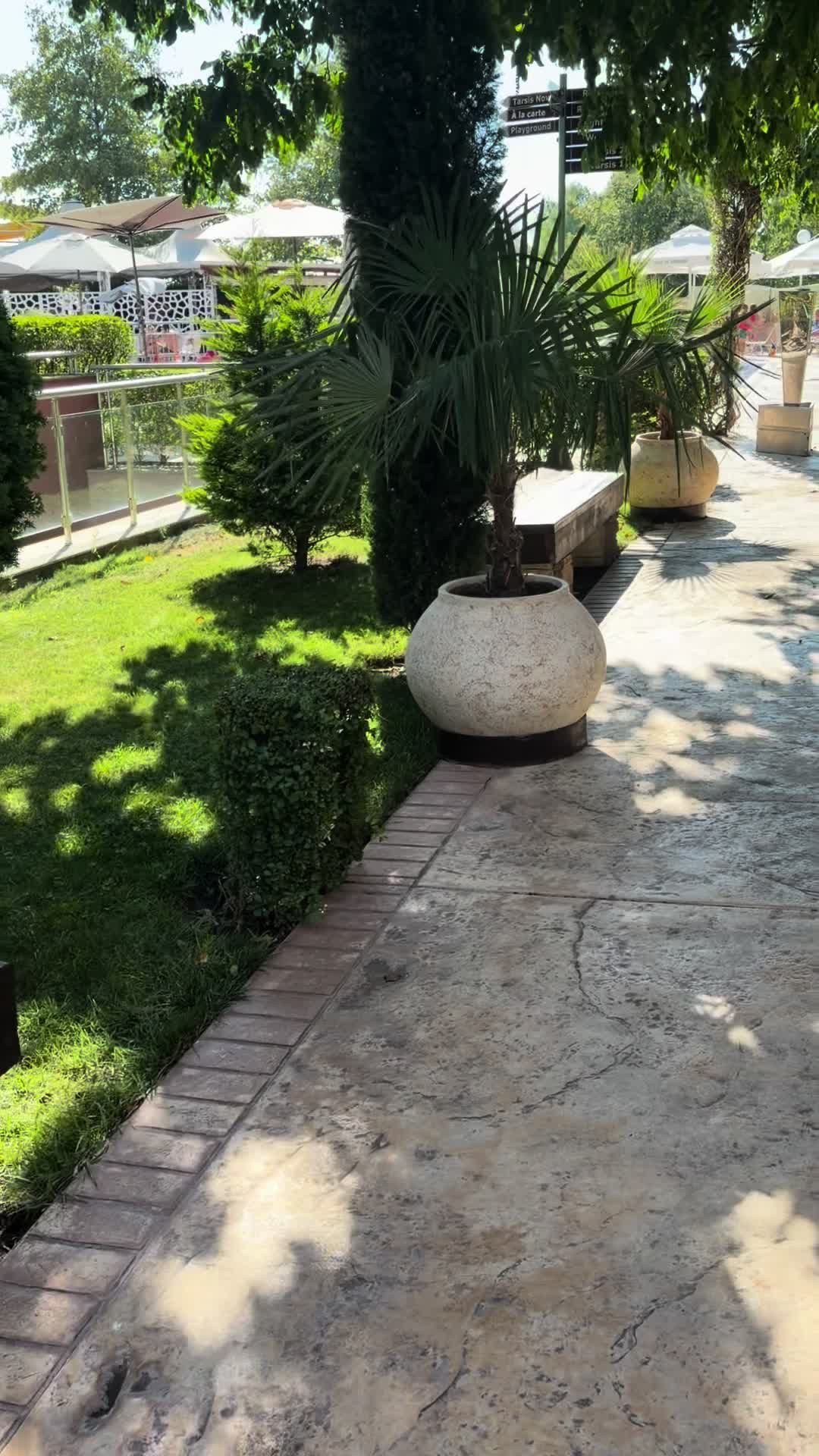 @Oummoussa