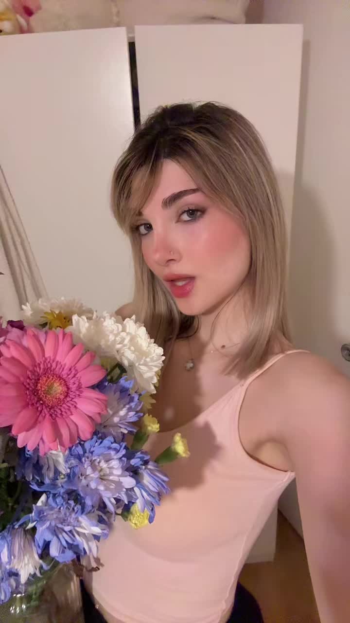 @pvrmiida