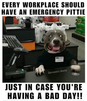 @Oatmeal 🐶🎧❤️🐕