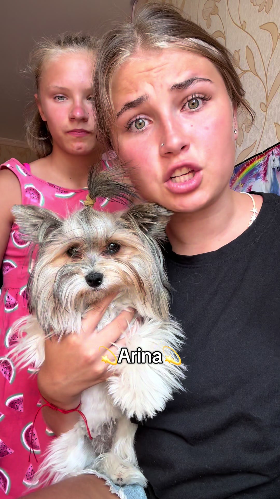 @arina