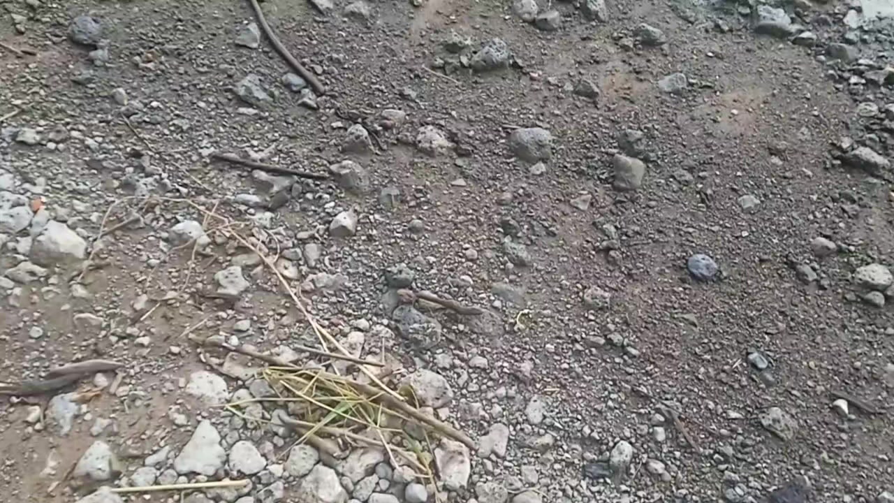 @ТрамвайЧЕ