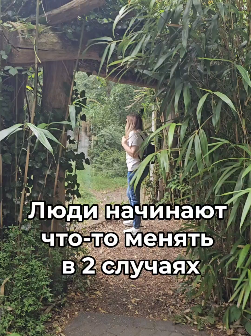 @ин. языки | доход онлайн