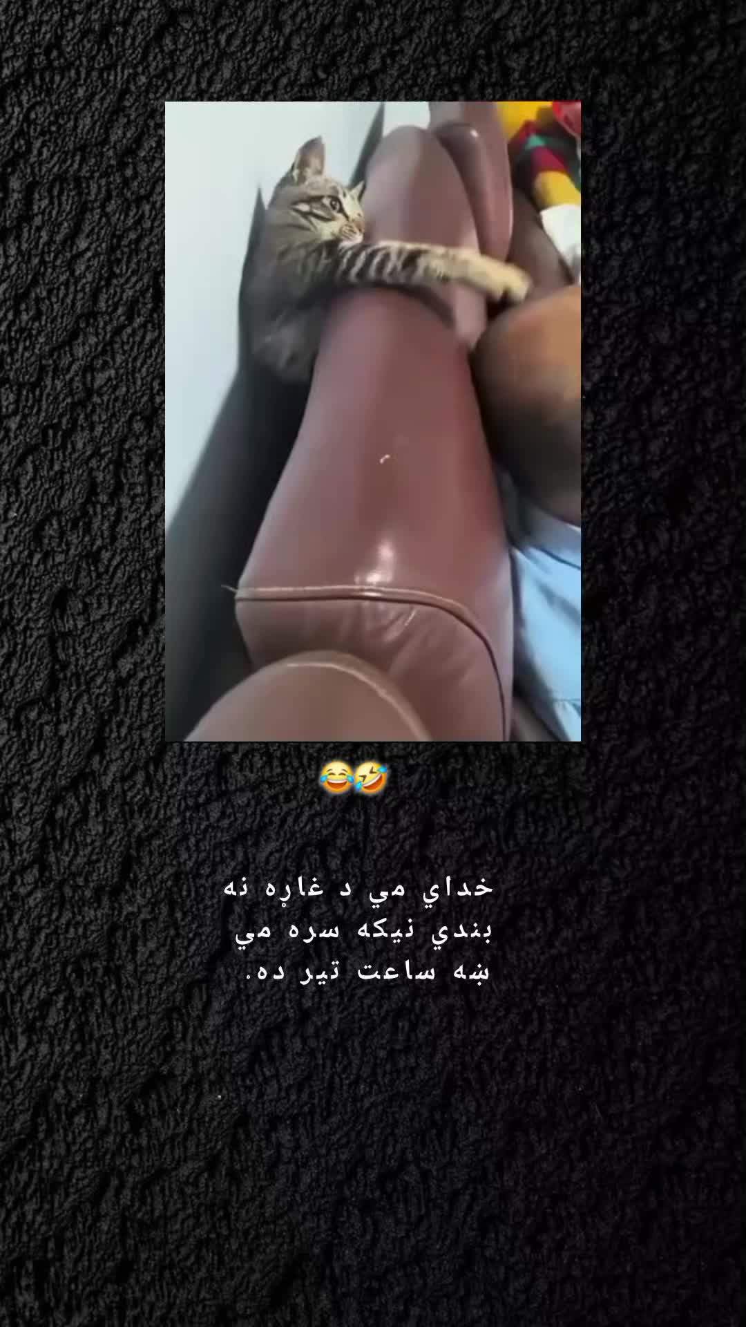 @ཀོ﮼رَهـبـ🦢ـرཀོ