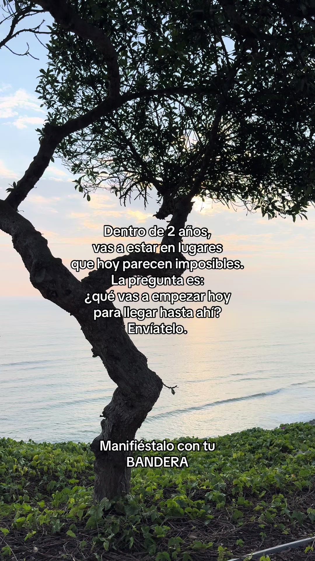 @Ale Moreno