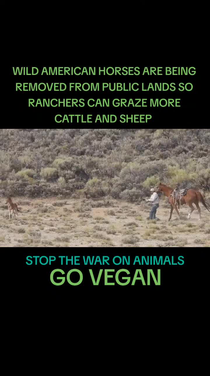 @BLIND2ABUSE