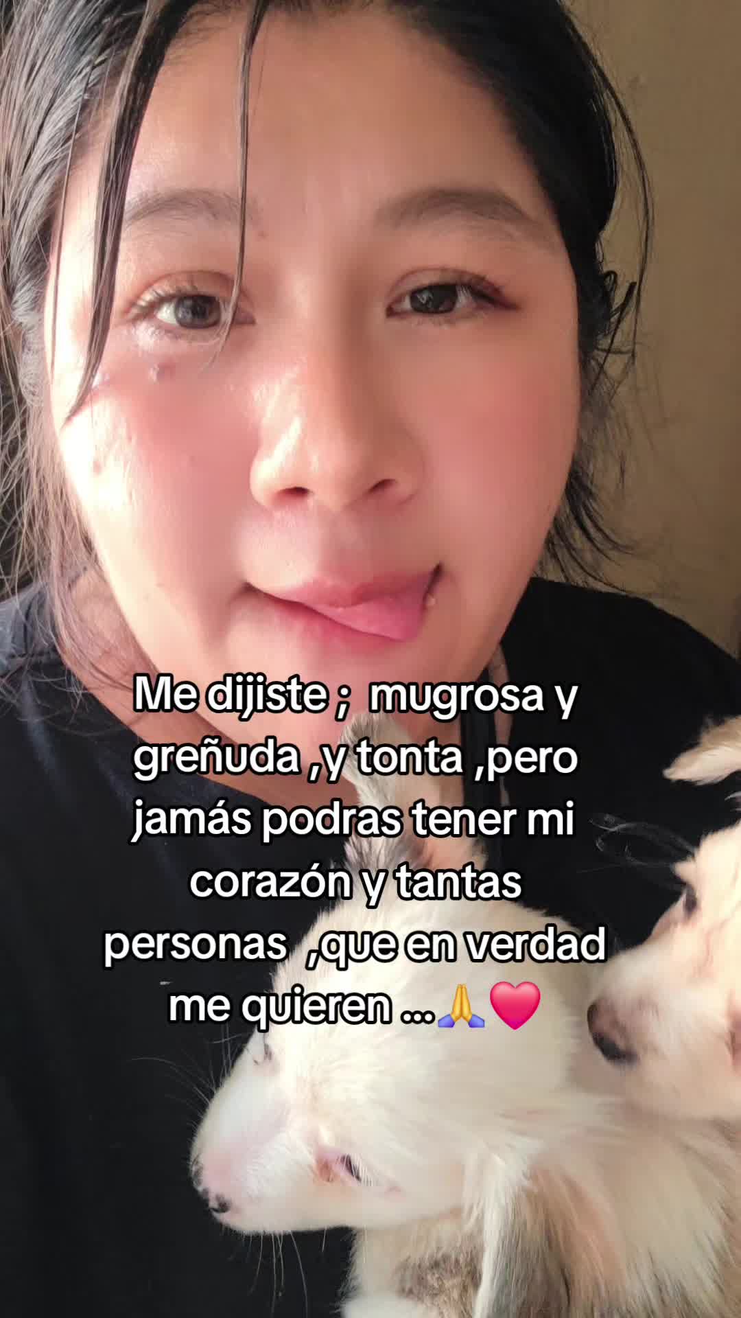 @huellitas de amor 🐾❤️🩹🐶