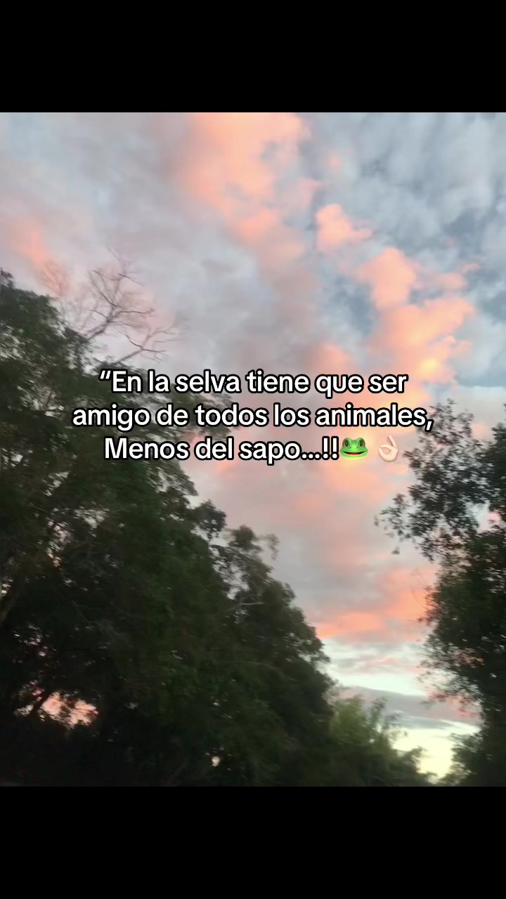 @Villa_00