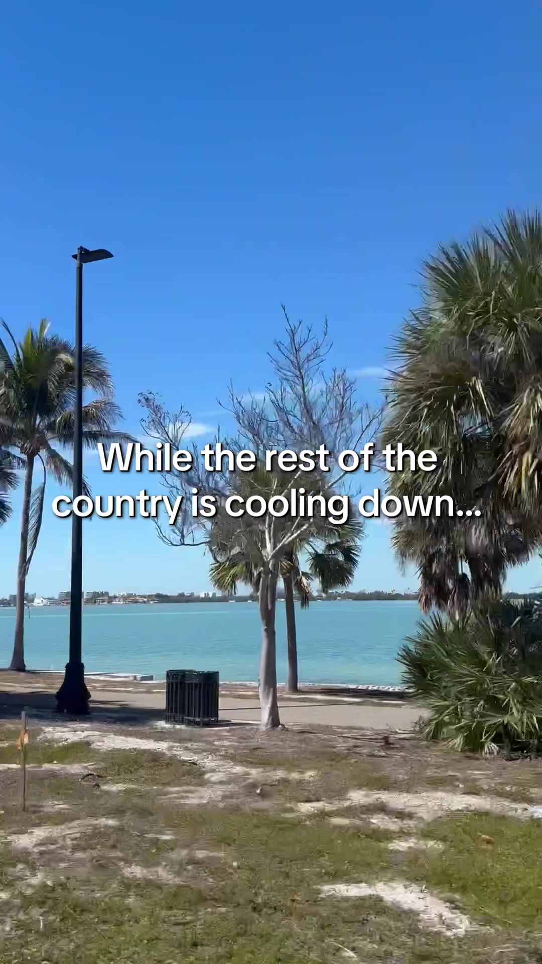 @Sarasota Local Guide 🌊🏝️