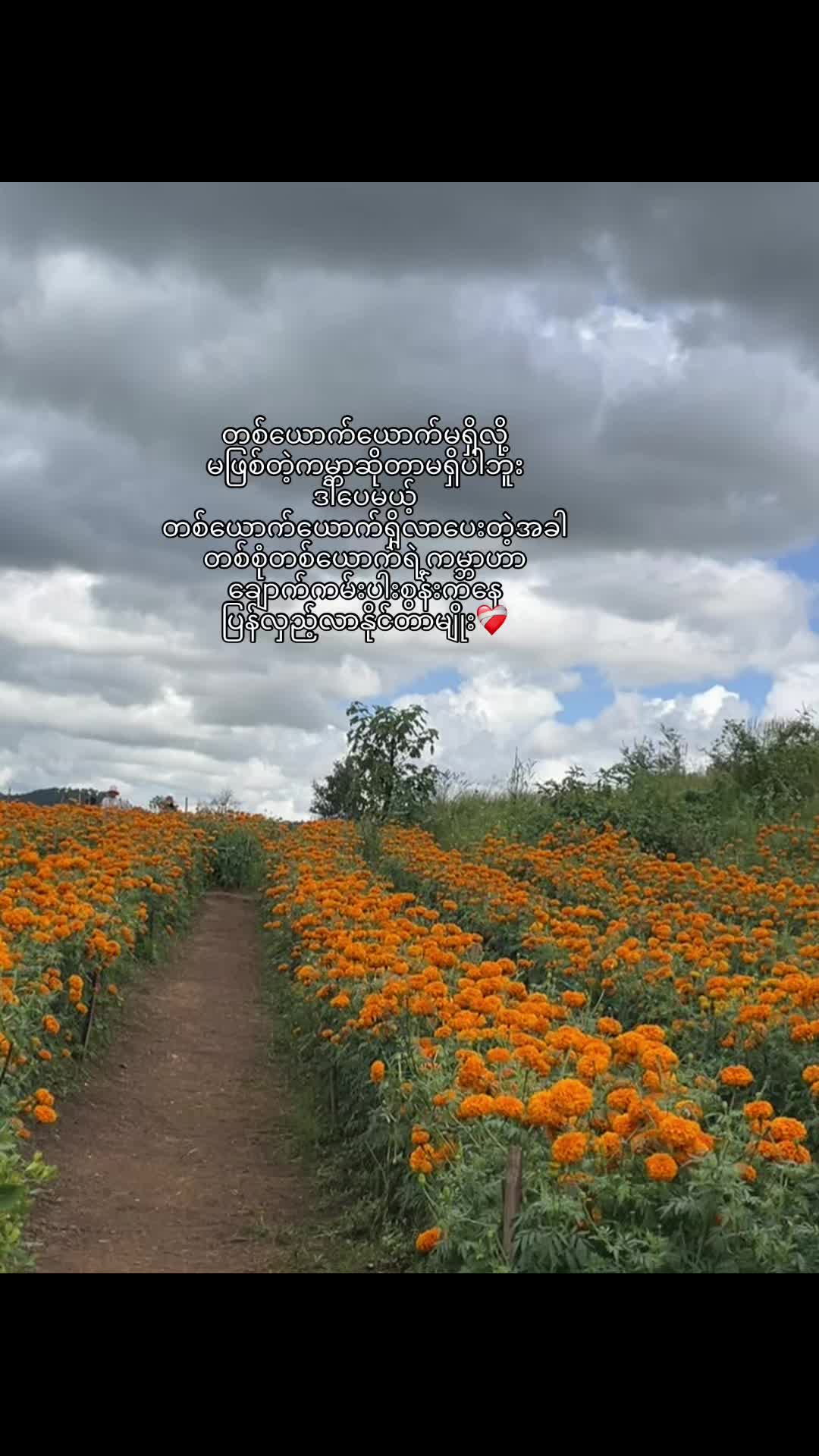 @Thin Lae Lae Oo