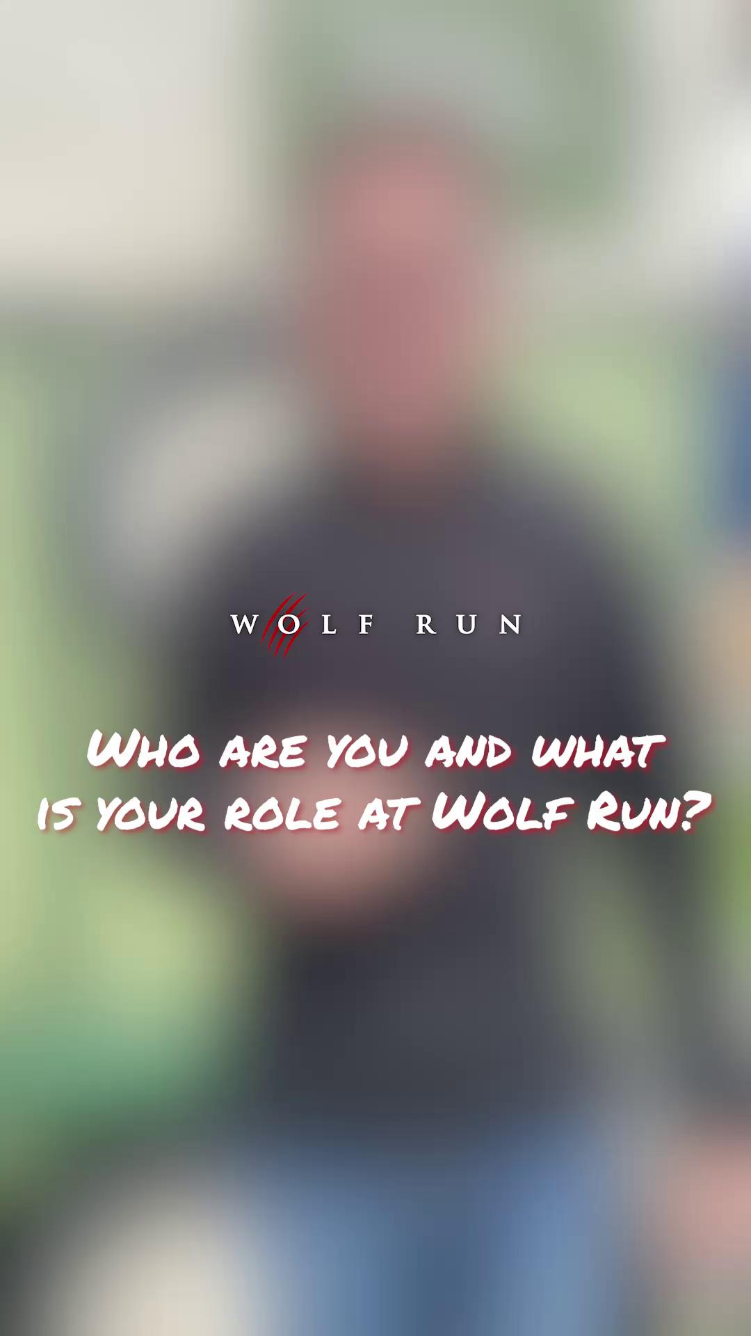 @The Wolf Run