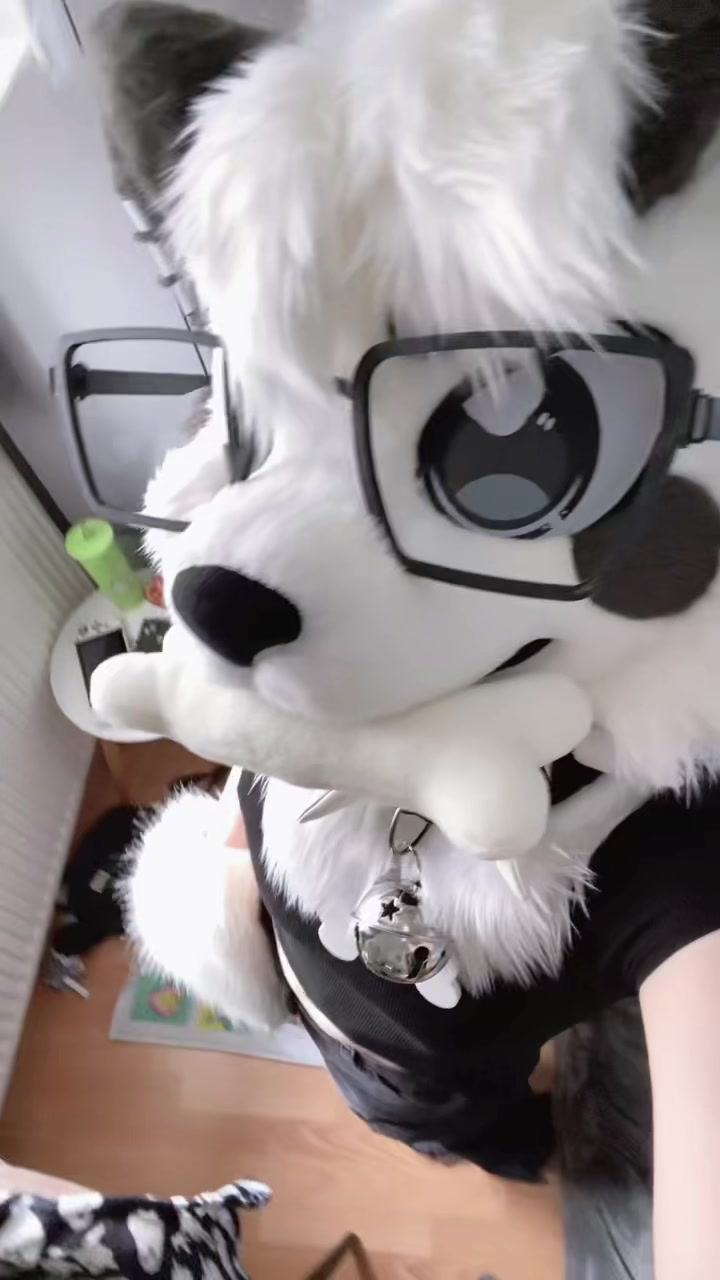 @🎬Lykoi🐾