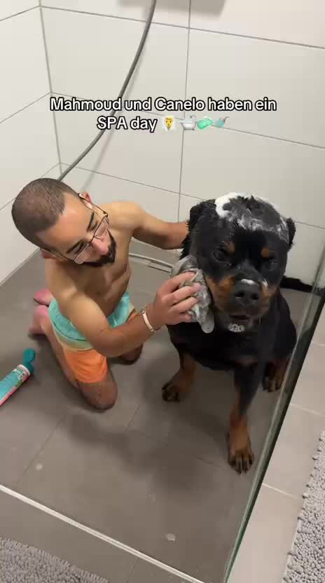 @Mahmoud_pate