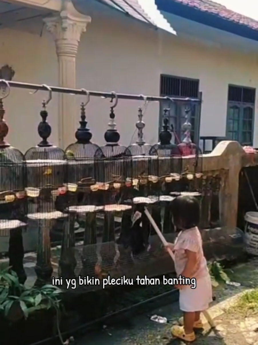 @totalbukpar