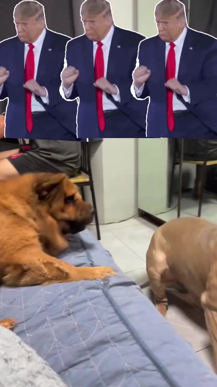 @Booey and Mochi