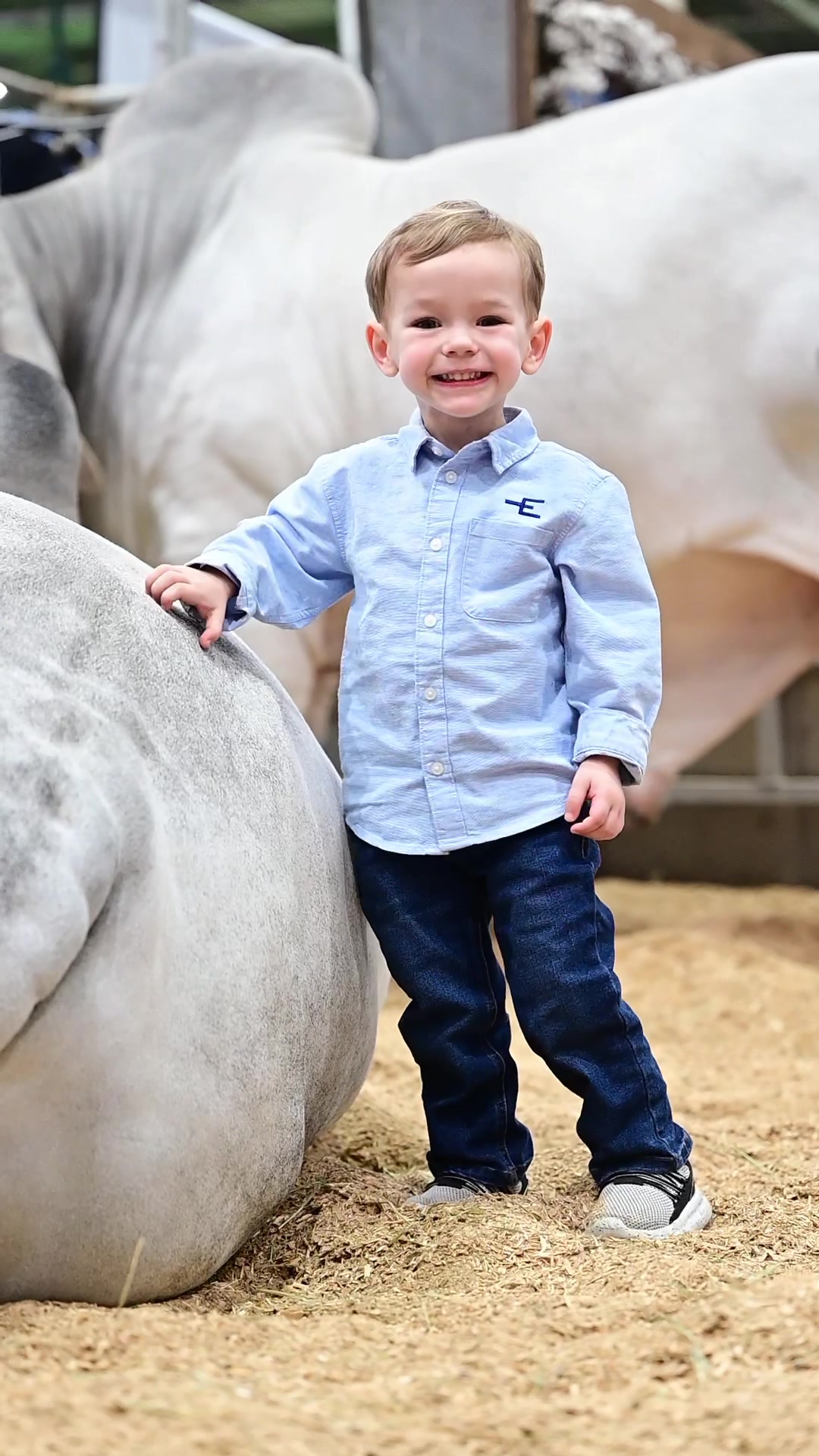 @England Cattle Co.