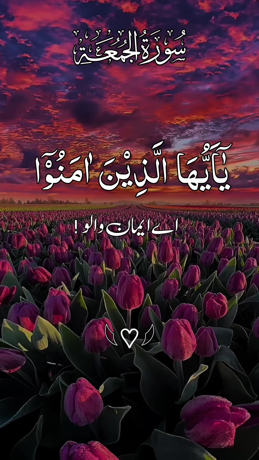 @❣️ Words of Allah ❣️