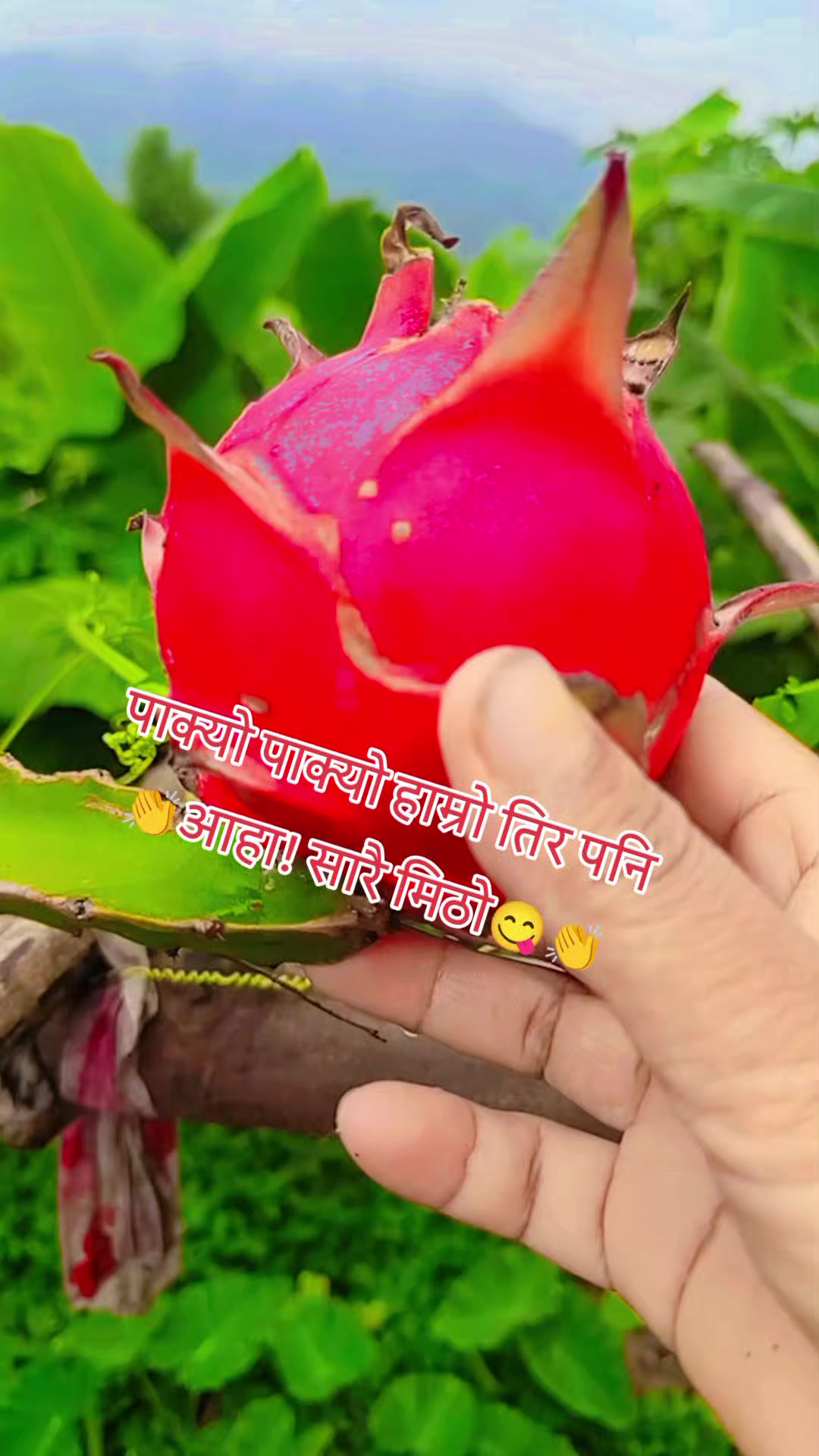 @Archana Khadka