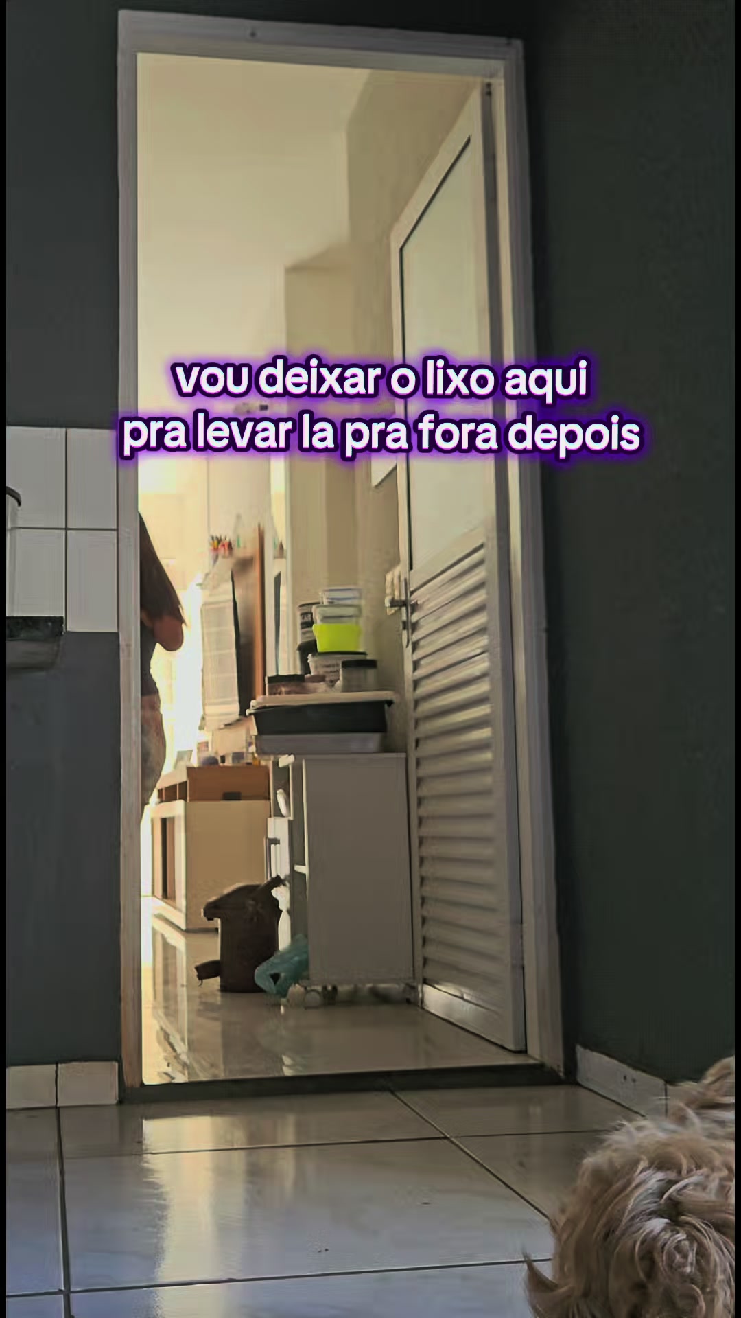 @brunnachiodi