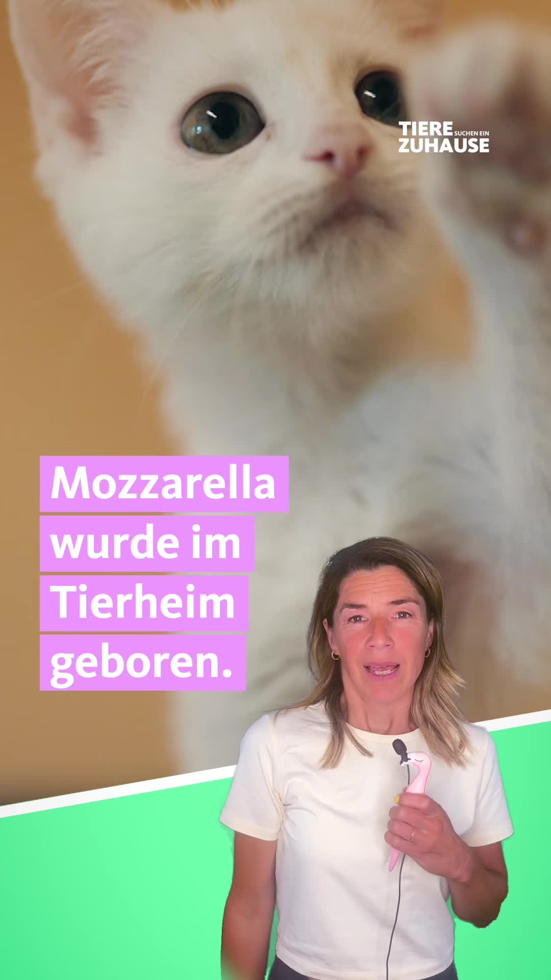 @Tiere suchen ein Zuhause