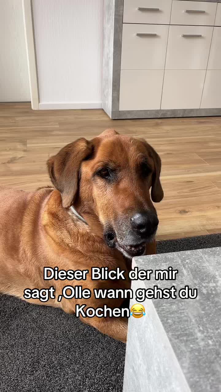 @Emma u.Biggi