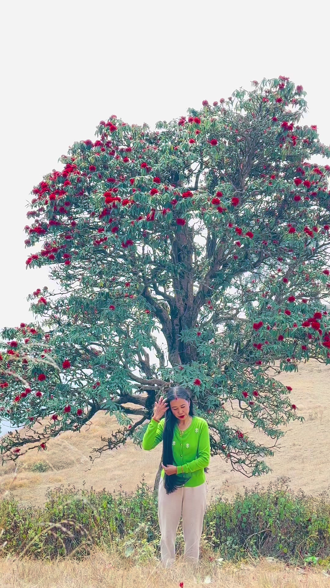 @rashmimagar04