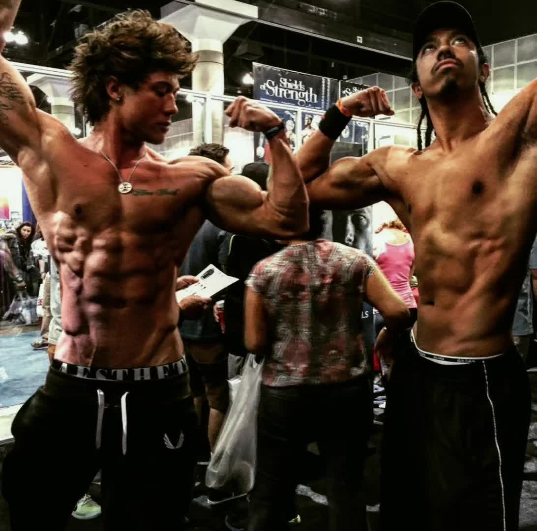 @aesthetics.supreme