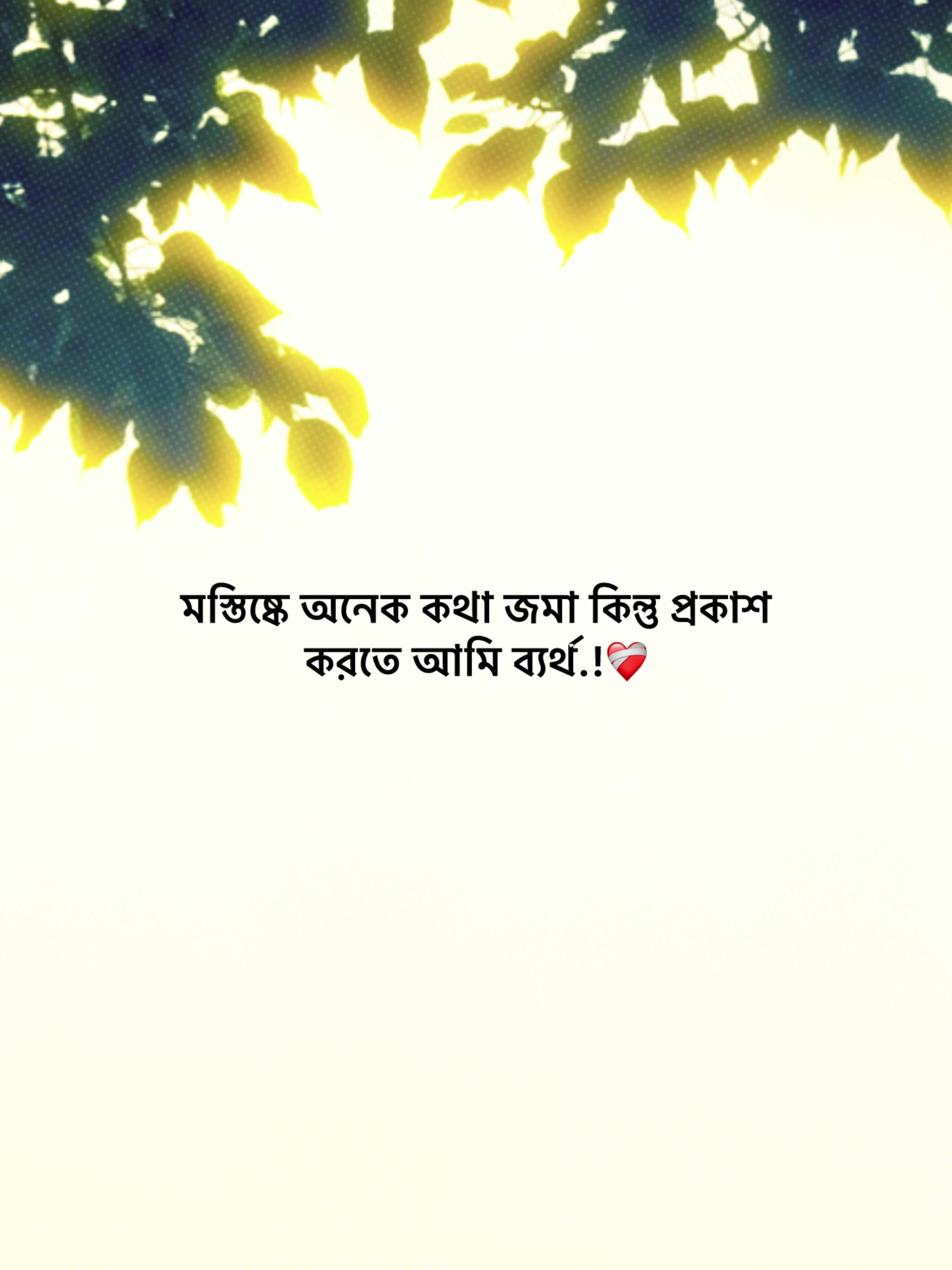 @𝗔𝗸𝗮𝘀𝗵 𝗕𝗵𝗮𝗶𝘆𝗮'♡