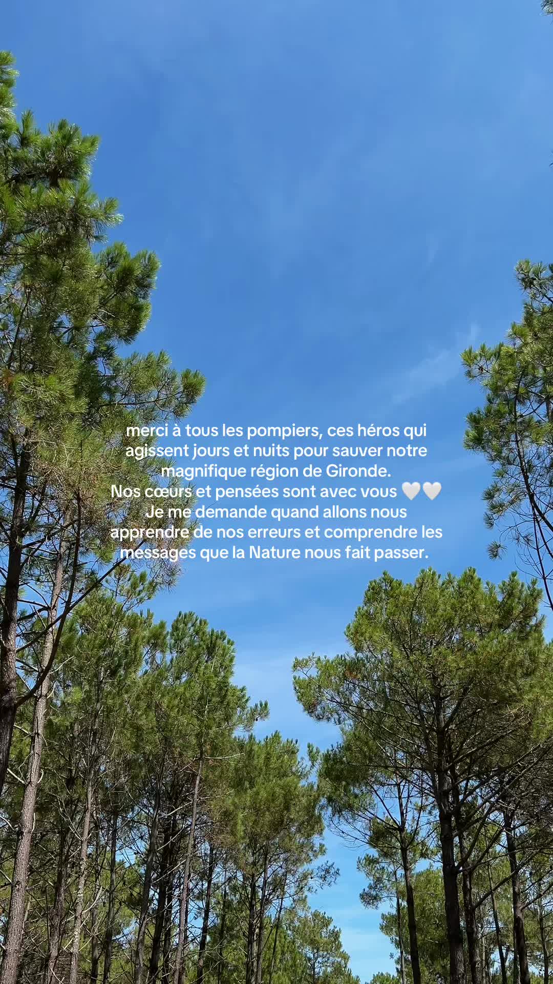 @Dinattigi 🌞