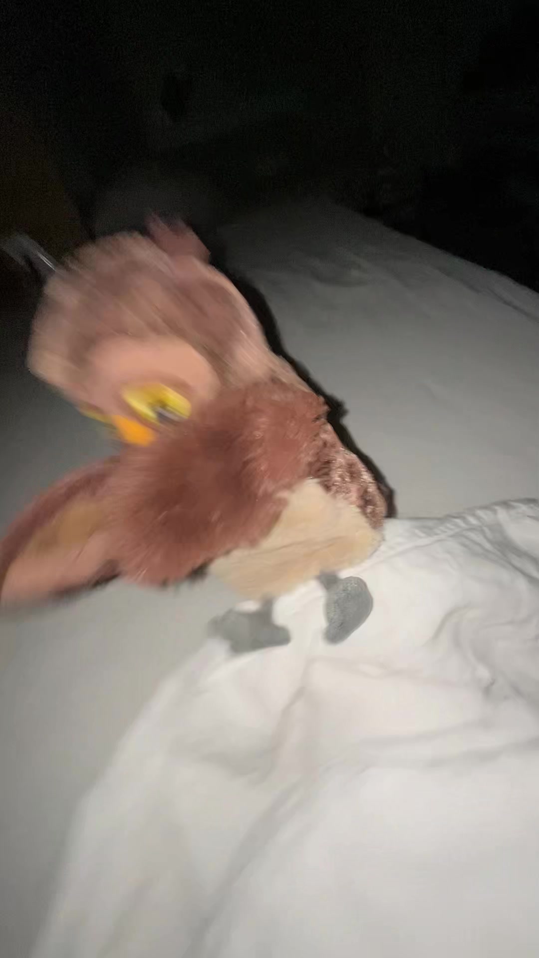 @🦉✨ Eule✨m✨🦉